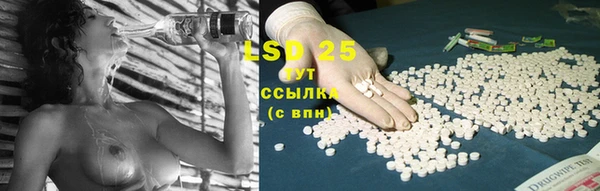 ПСИЛОЦИБИНОВЫЕ ГРИБЫ Алексин
