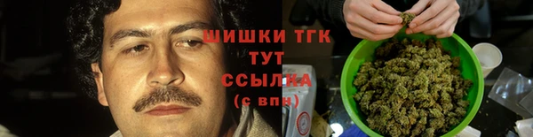 spice Алзамай