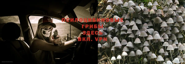 мет Алексеевка