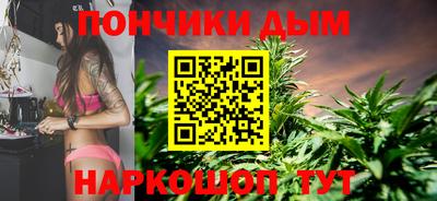 шишки Мирный