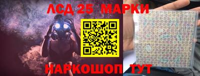 шишки Мирный