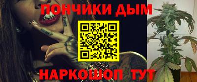 шишки Мирный