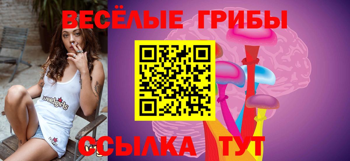 Псилоцибиновые грибы прущие грибы  Псилоцибиновые грибы ЛСД  где найти наркотики  Кореновск  Вход с VPN 